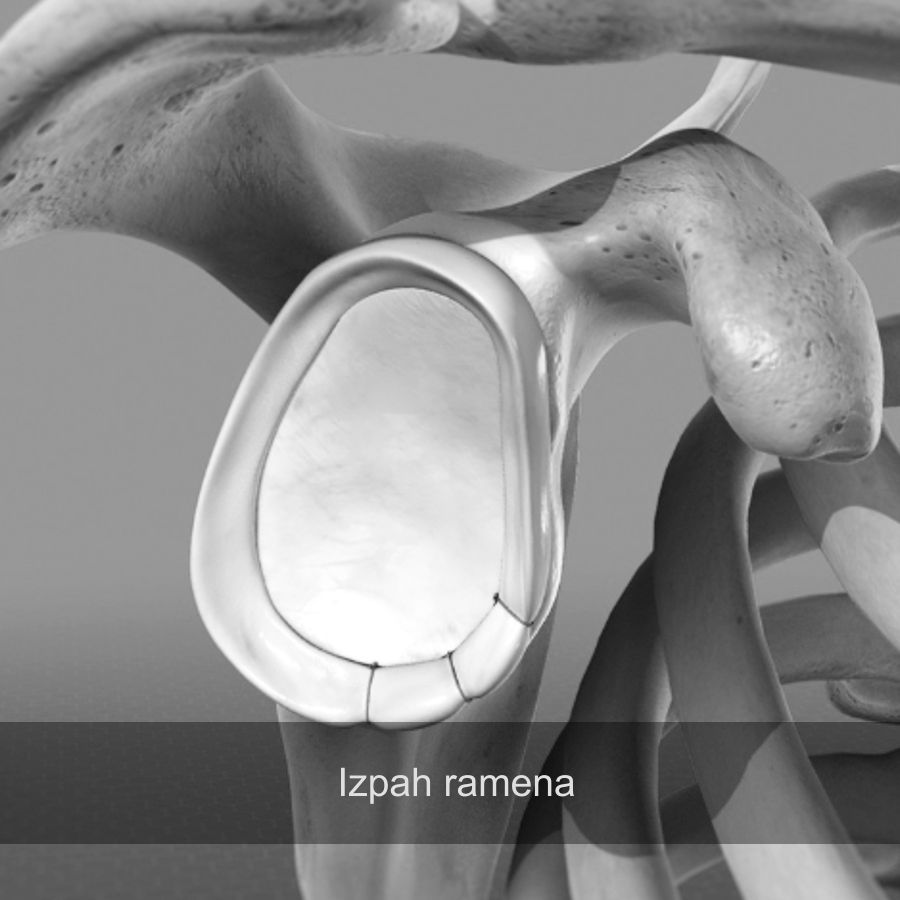 Nestabilnost rame, izpaha rame, operacija rame v mariboru